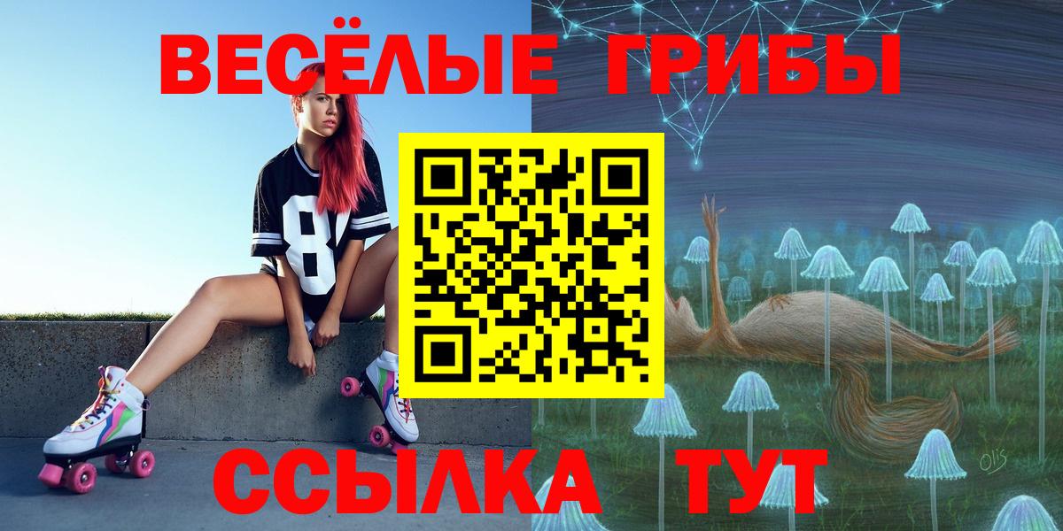 Ставрополь  Псилоцибиновые грибы прущие грибы  купить  цена  Вход с VPN 